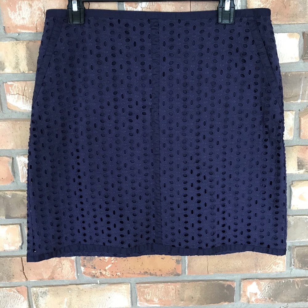 Ann Taylor LOFT Miniskirt    Size 6